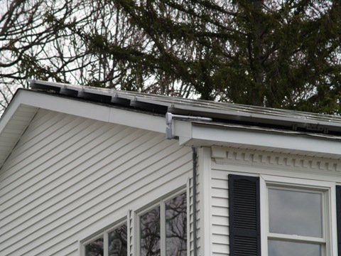greenroof2.jpg